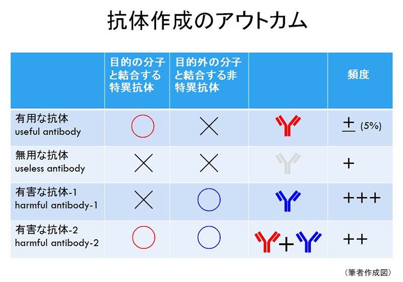 図1　抗体作成のアウトカム