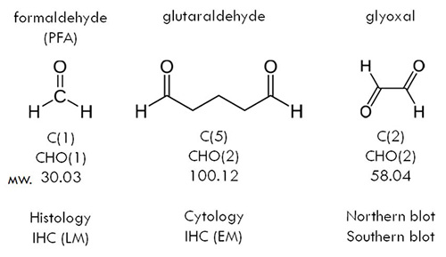 図2　3種類のアルデヒド系固定剤の比較